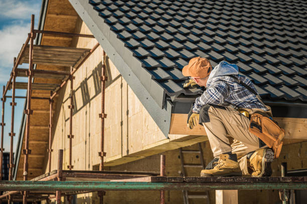 Best Shingle Roofing Installation  in Somerville, TN