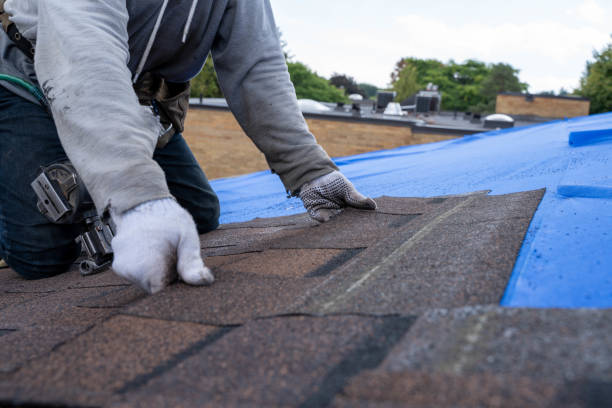 Best Local Roofing Companies  in Somerville, TN