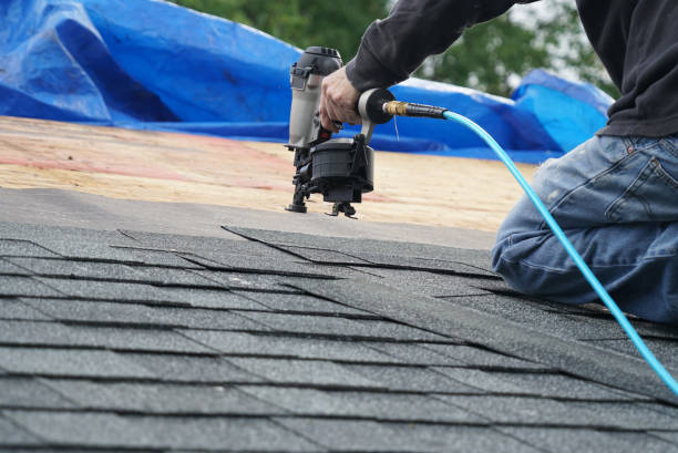 Best Roof Gutter Cleaning  in Somerville, TN